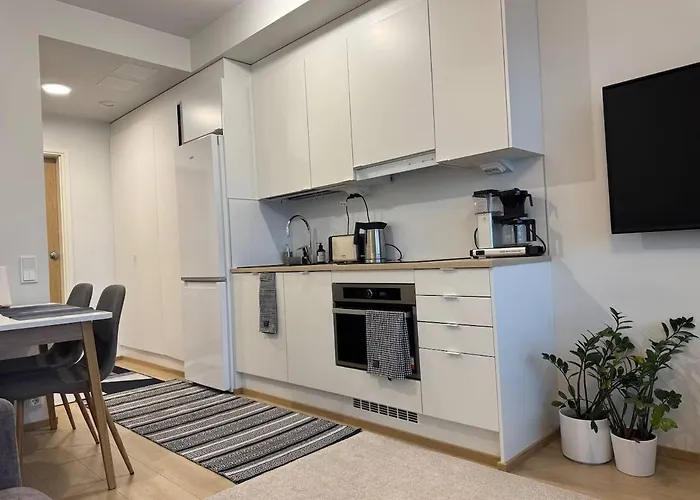 A Cozy And Sweet In Heart Of 公寓 坦佩雷